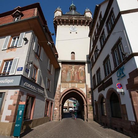Le Rhenanus Jacques Spiegel - Ideal Pour Un Couple - Appartement Au Calme - Parking Gratuit Sélestat Exteriör bild
